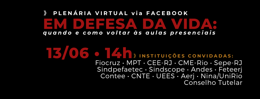 Profs. Duda Quiroga e Luís Ricardo Pereira – participação na Plenária Virtual “Em Defesa da Vida: quando e como retornar às aulas presenciais”